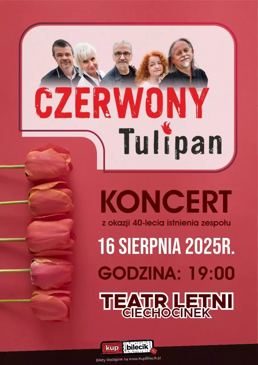 Czerwony Tulipan