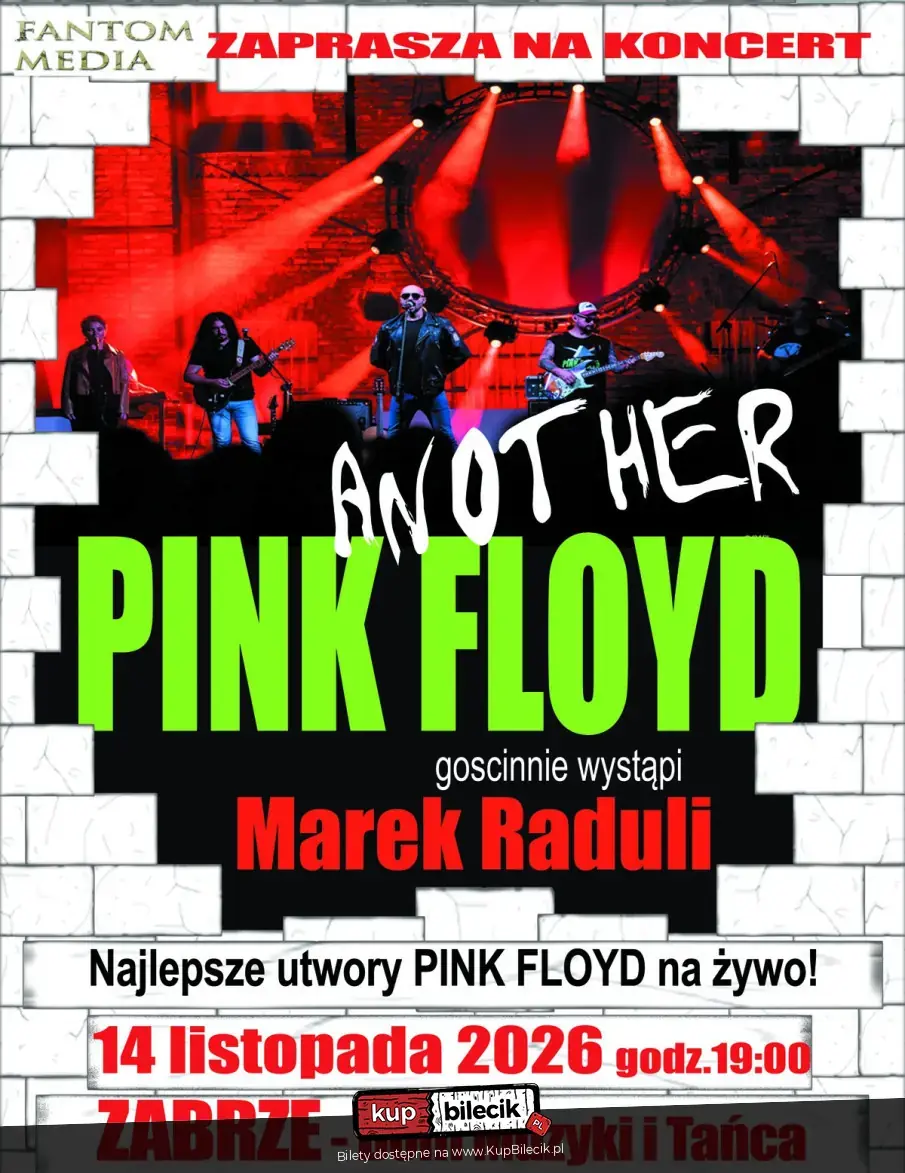 Another Pink Floyd Tribute Band
