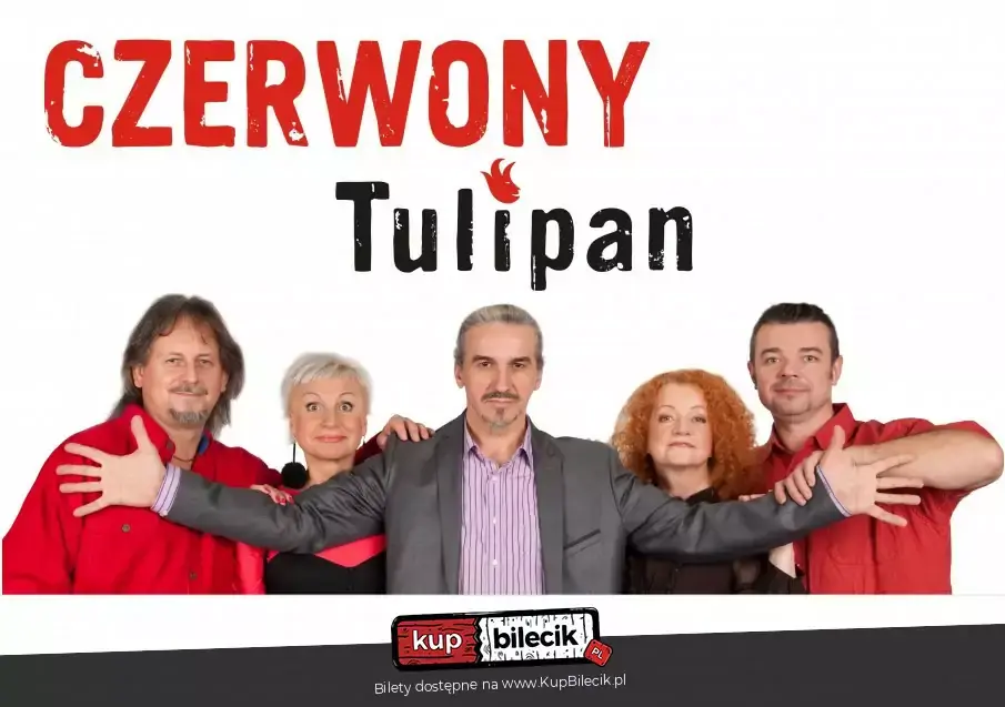 Czerwony Tulipan