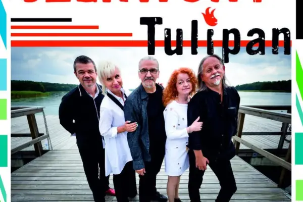 Czerwony Tulipan