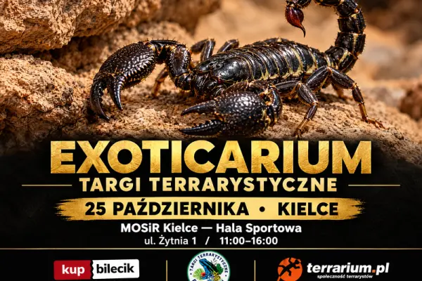 Exoticarium - Targi Terrarystyczne + Wystawa Pająków