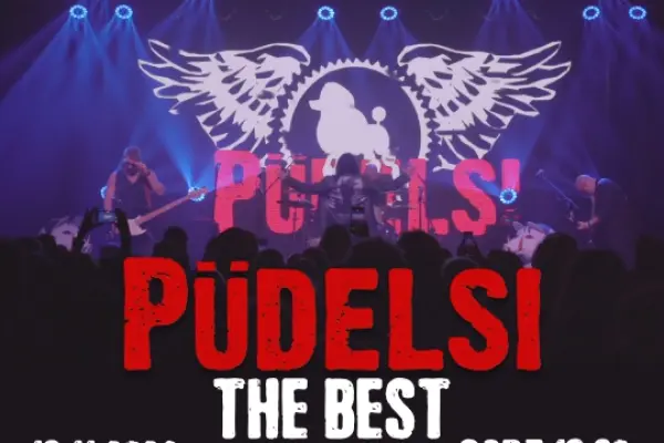 Pudelsi