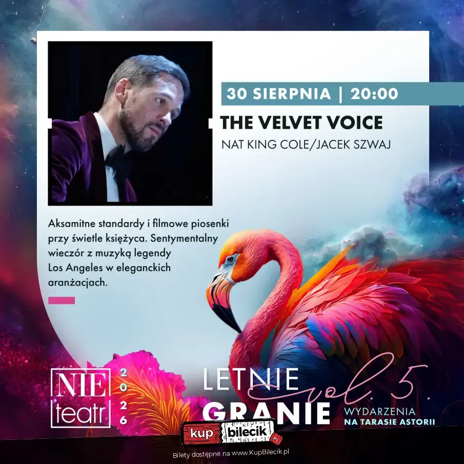 LETNIE GRANIE | THE VELVET VOICE